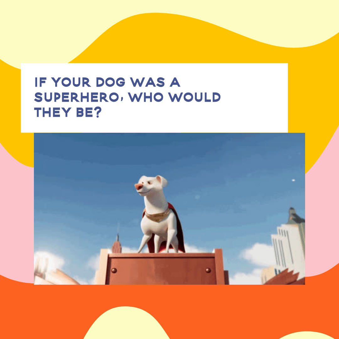 Fun Gif.png