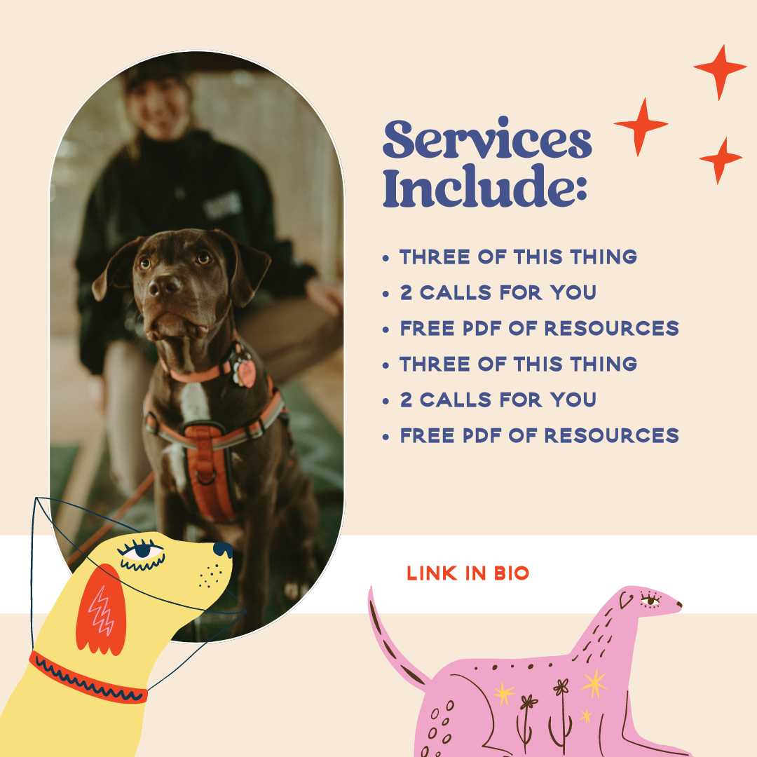 Services Offered.png