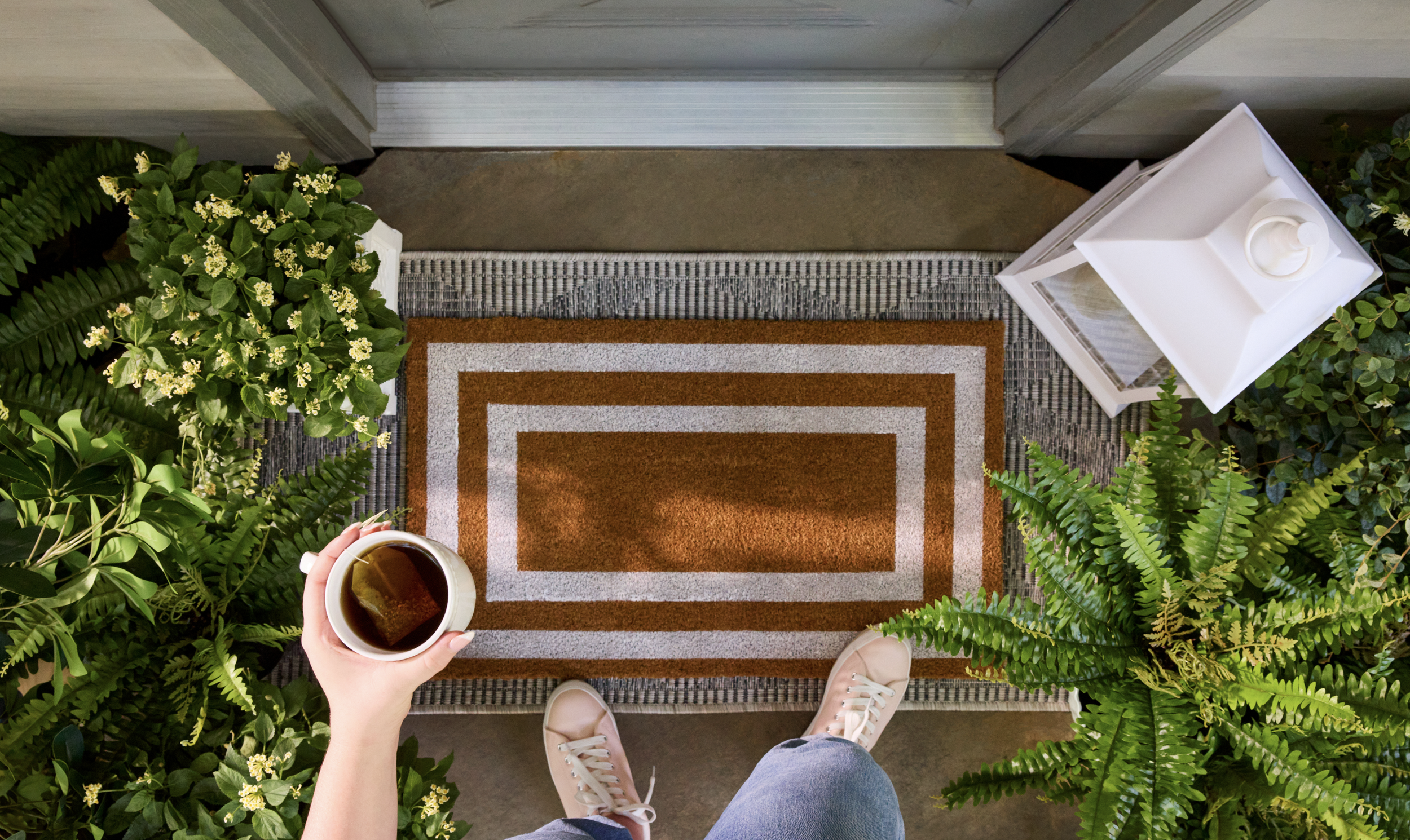 Screen Shot 2024-11-15 at 10.37.13 AM.png