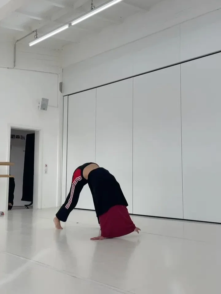Ein weiteres Tanzgeschichte-Seminar geht zu Ende.. 
An zwei intensiven Terminen mit dem Bildungsjahr Tanz von @seneca_intensiv haben wir gemeinsam europäische und westliche Tanzgeschichte erkundet – mit Videos, Diskussionen und praktischen