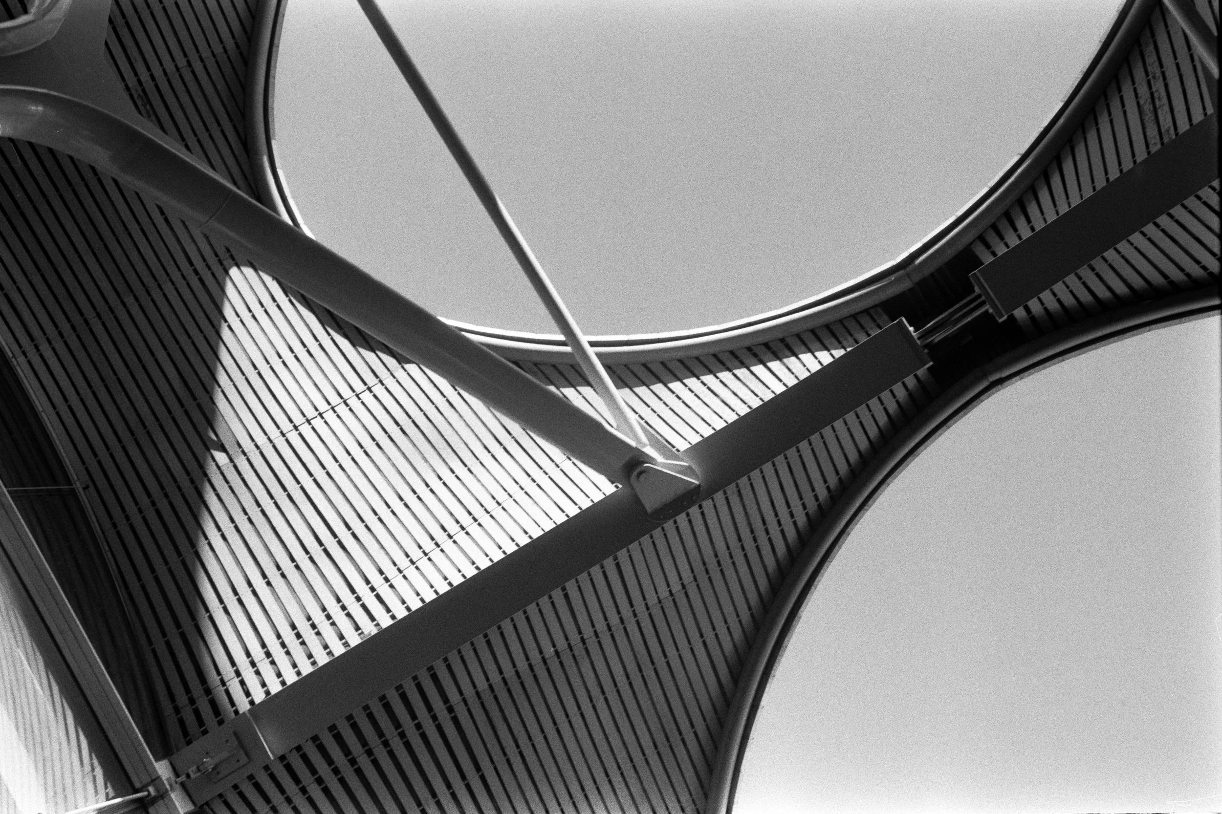 LEICA M5 ULTIMO VIAJE-1310-Editar-2.jpg