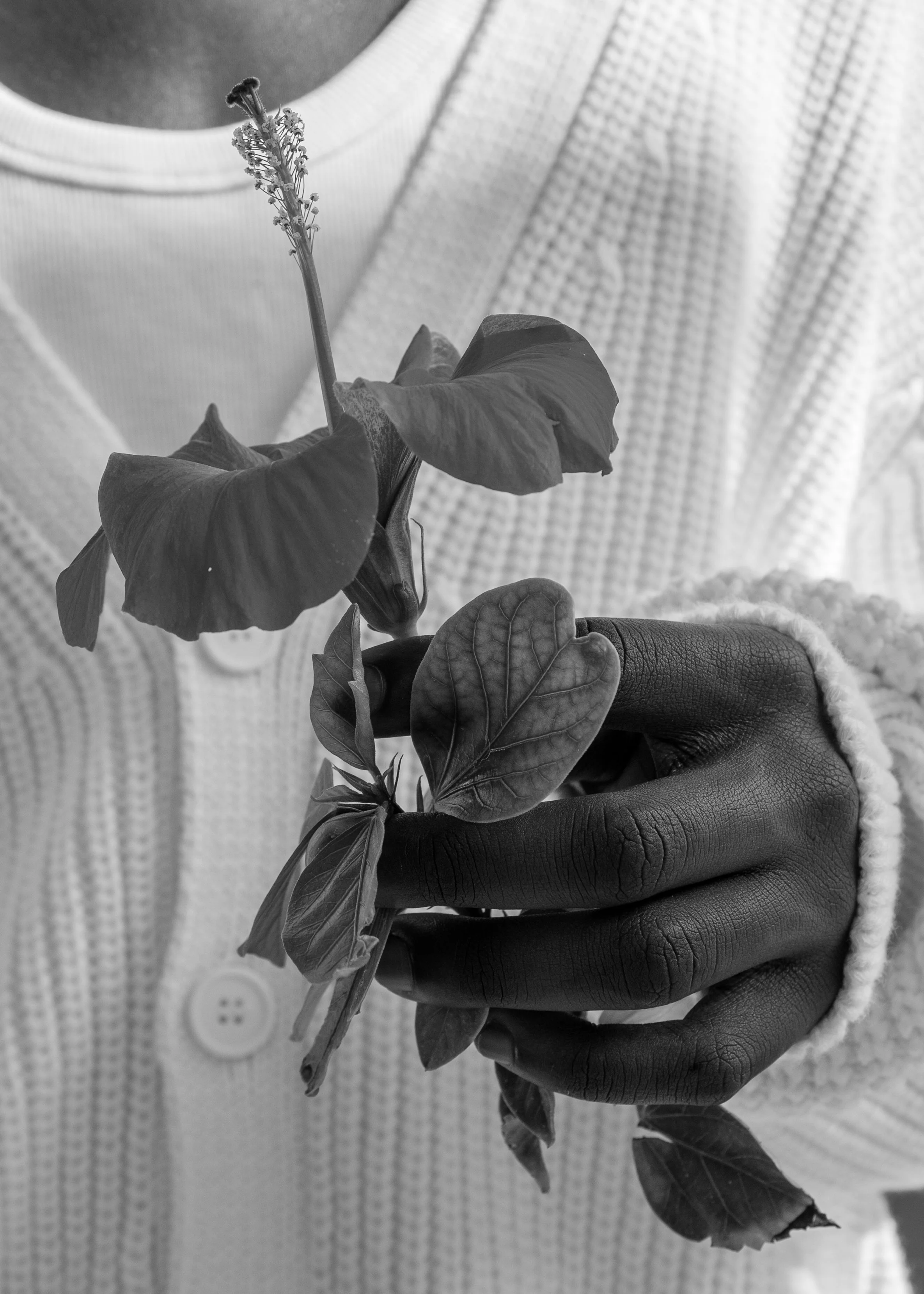 Vishal baharani x Juan Carlos Armas-9.jpg