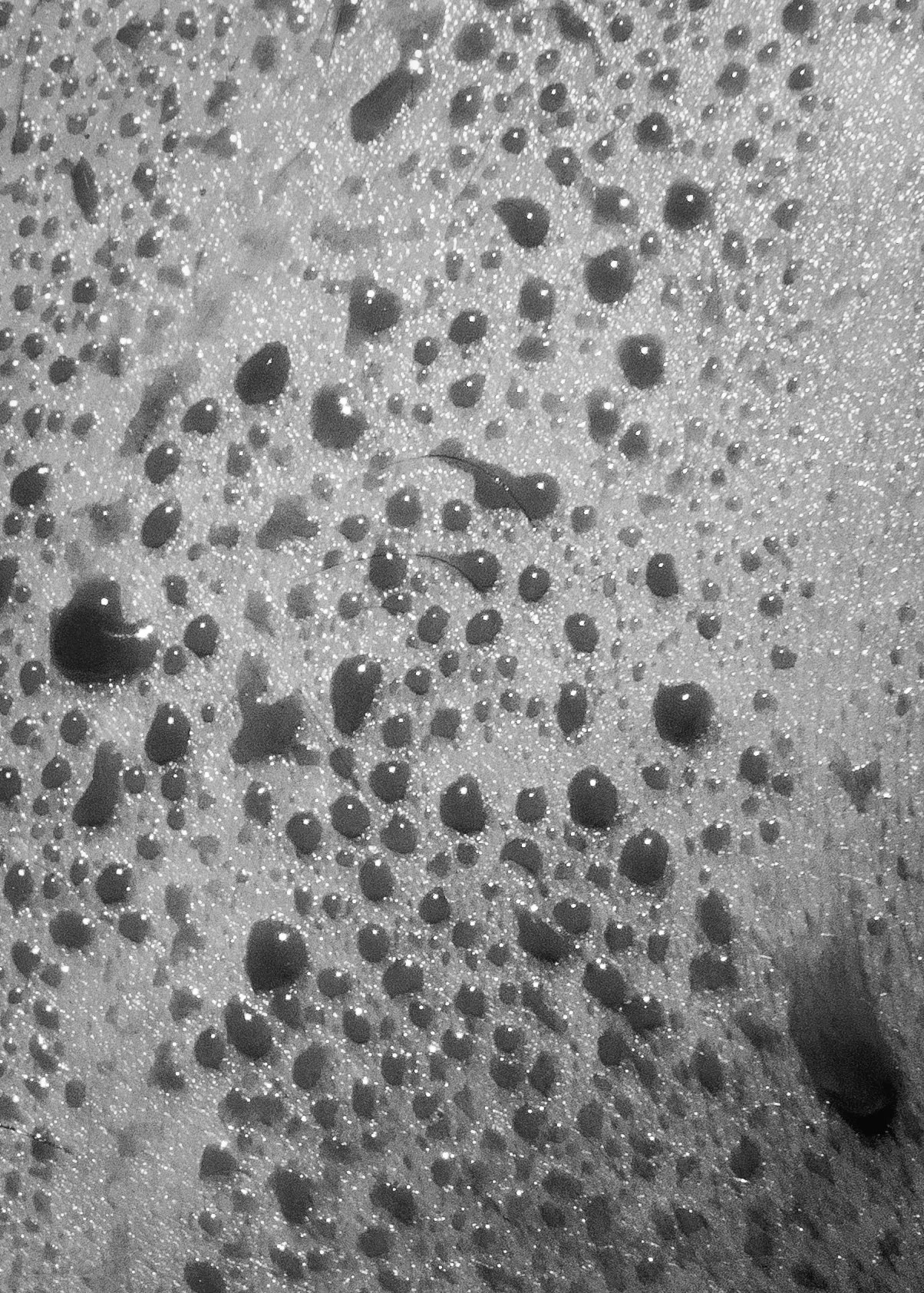 Vishal baharani x Juan Carlos Armas-32.jpg