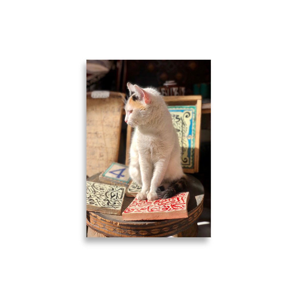 enhanced-matte-paper-poster-(cm)-21x30-cm-front-632cce40d0112.jpg