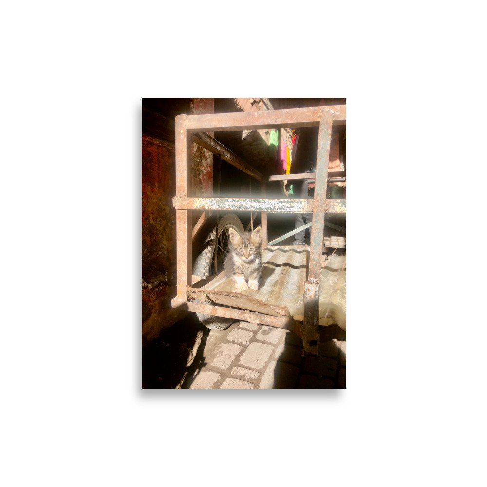 enhanced-matte-paper-poster-(cm)-21x30-cm-front-632cce61949b1.jpg