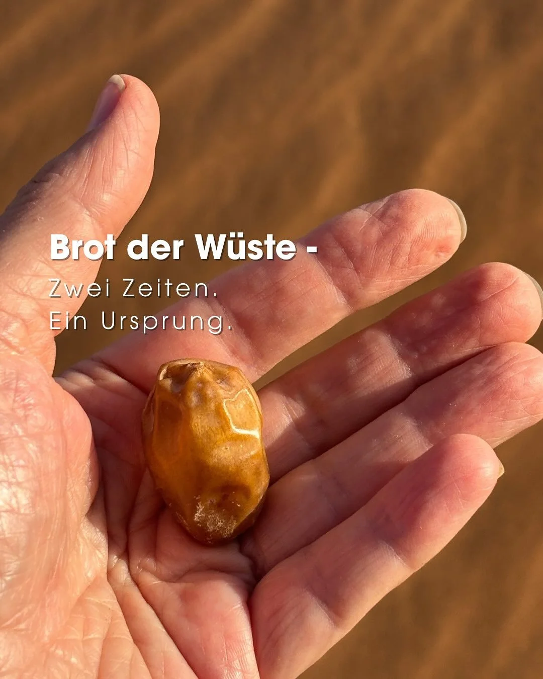 🌴Eine Frucht. Zwei Zeiten. Ein Ursprung.
Am Abend meiner Anreise –
kurz Halt in der Wüste.
Mohamad reichte mir eine Schachtel Datteln.
Dazu Wasser. Brot. Nüsse.
Ein einfacher Snack –
und doch meine Hauptenergiequelle
wä