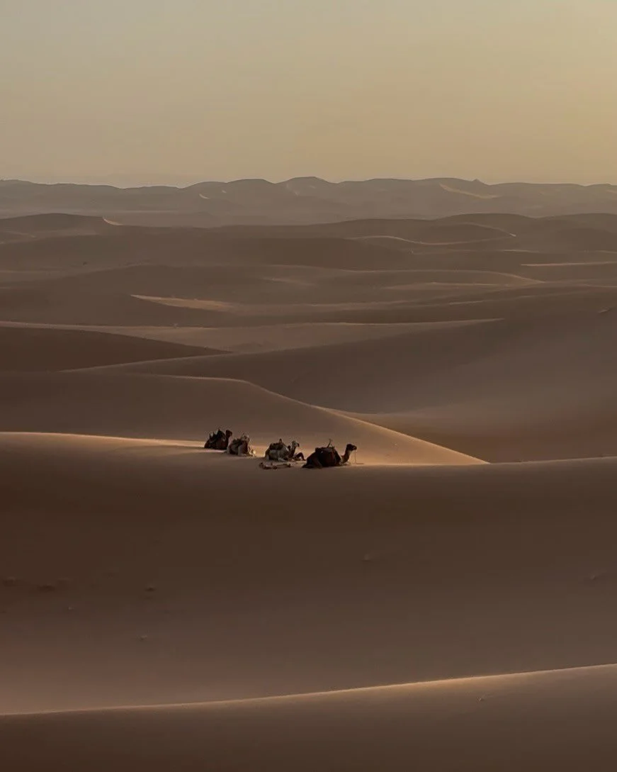 Zwischen den Dünen bleibt kein Echo.
Nur Atem.
Und das Wissen,
dass Wege weiterführen –
auch, wenn man sie nicht sieht.
🌬️ #Wüstengedanke
#GlobalDesertRace #Wüstenbrief #DesertSoul #NomadSpirit #Sahara #MindfulRunning #W
