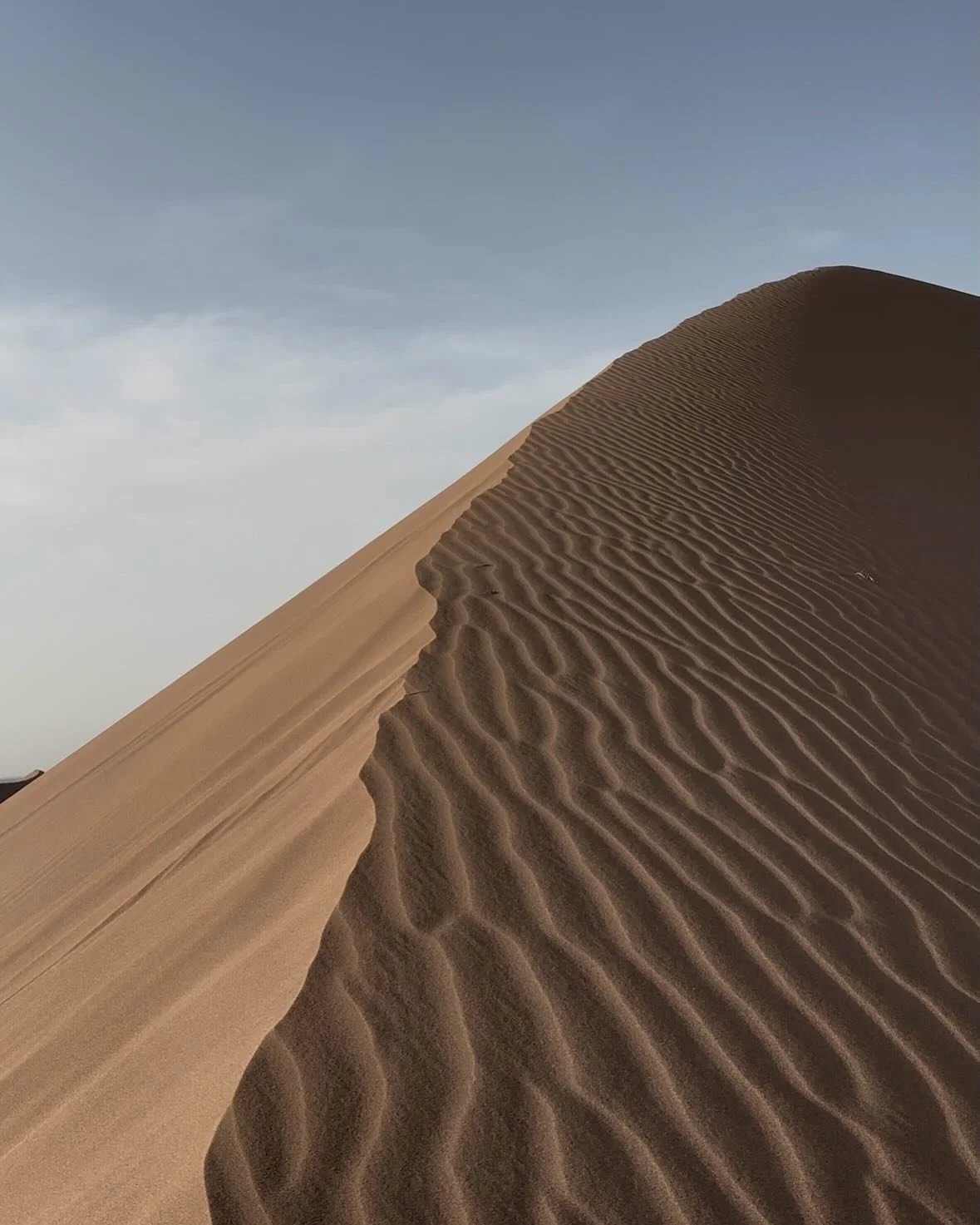 Die wichtigste Arbeit findet dort statt, wo niemand zusieht.

Bevor morgen der Jahrestag meines Aufbruchs in die Sahara ansteht, bleibe ich heute in der Vorbereitung.

Selbstf&uuml;hrung und klare Kommunikation verlangen die F&auml;higkeit, die Still