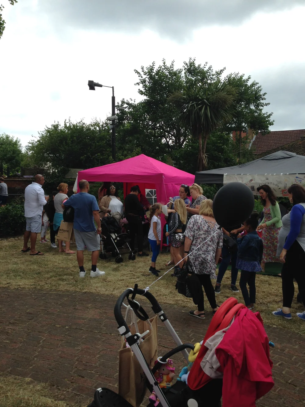 Manor House Gardens Festival — Friends of Manor House Gardens