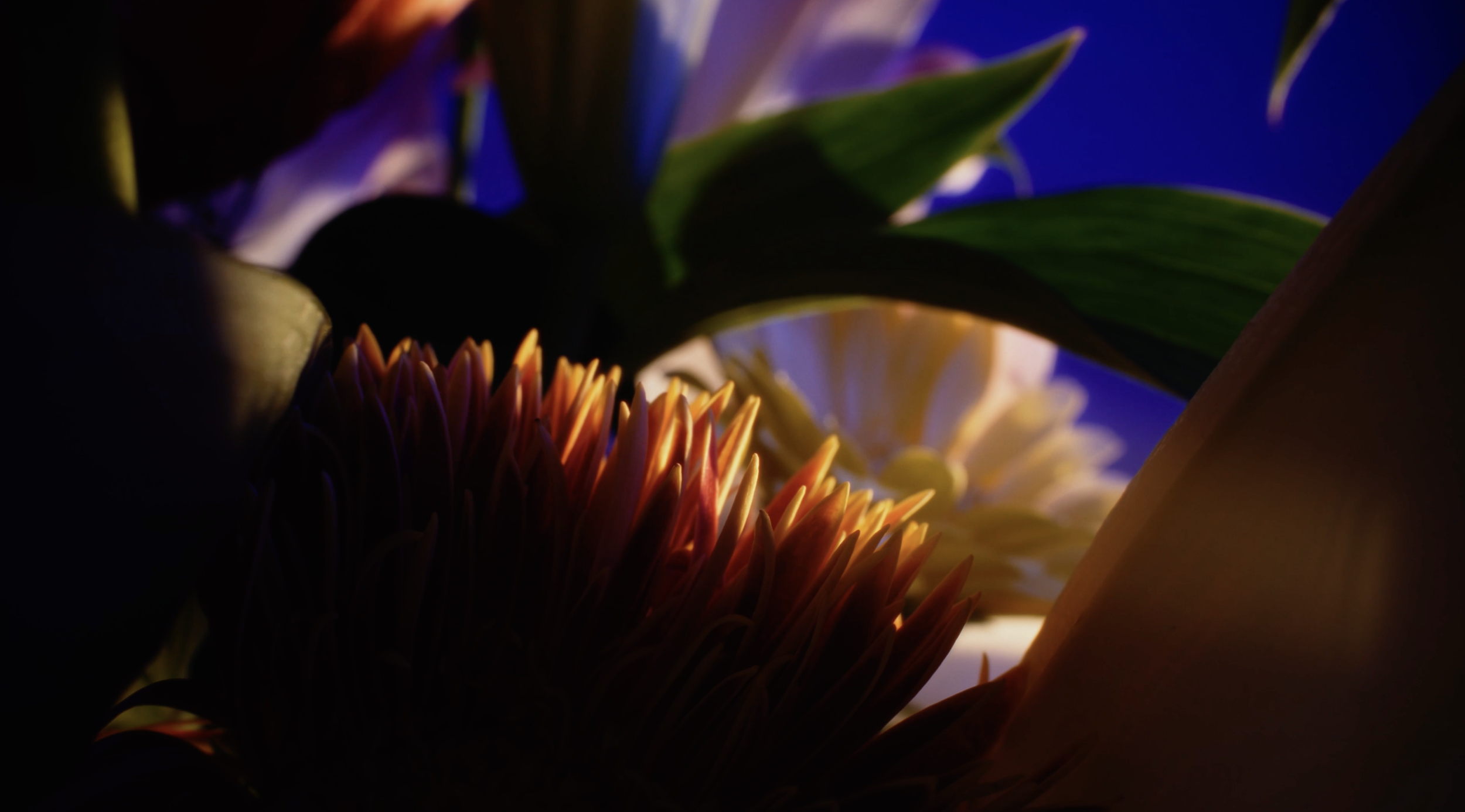 Capture d’écran 2026-02-06 à 22.11.14.png