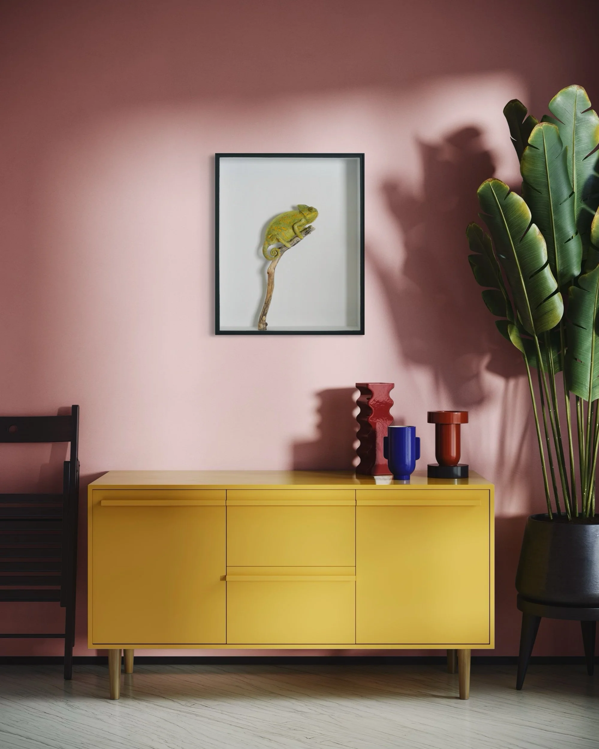 This chameleon, which passed away at a rescue centre in Brighton, was generously donated to Jazmine for preservation.