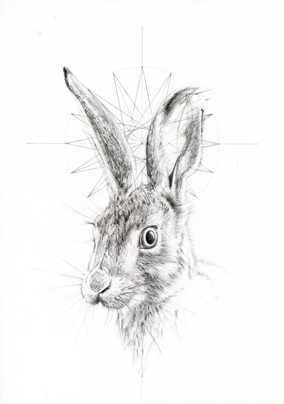 Rabbits Star by Jessica Albarn Painted Drawing on Paper
