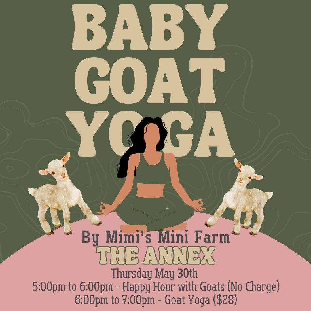 Join us for the CUTEST Baby Goat #YOGA at The Annex 🌸
5:00pm to 6:00pm - Happy Hour with Goats FREE
6:00pm to 7:00pm - Goat Yoga by Mimi's Mini Farm $28
All Day Thursday Specials:
🍾$4 Bubbles
🌸$6 Pink Starburst Martini
🐦$6 Lazy Bluebonnet Martini