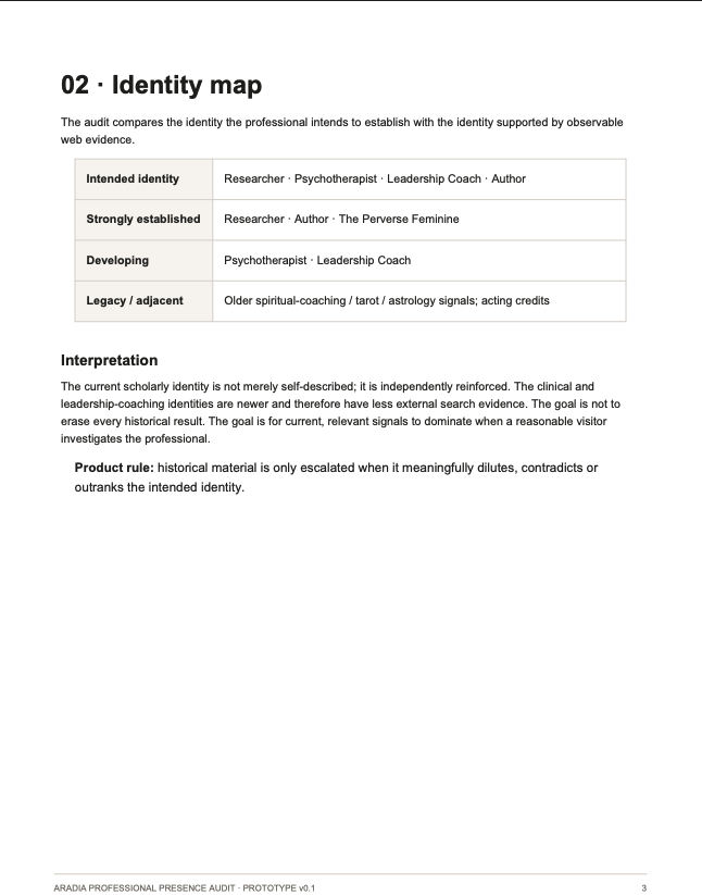 Sample Professional Presence Audit_Identity Map.png