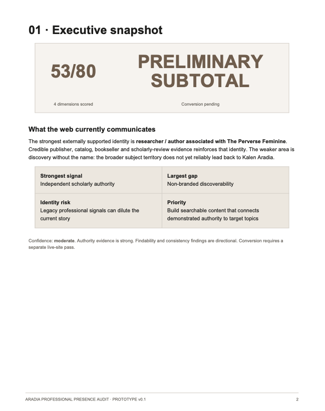 Professional Presence Audit