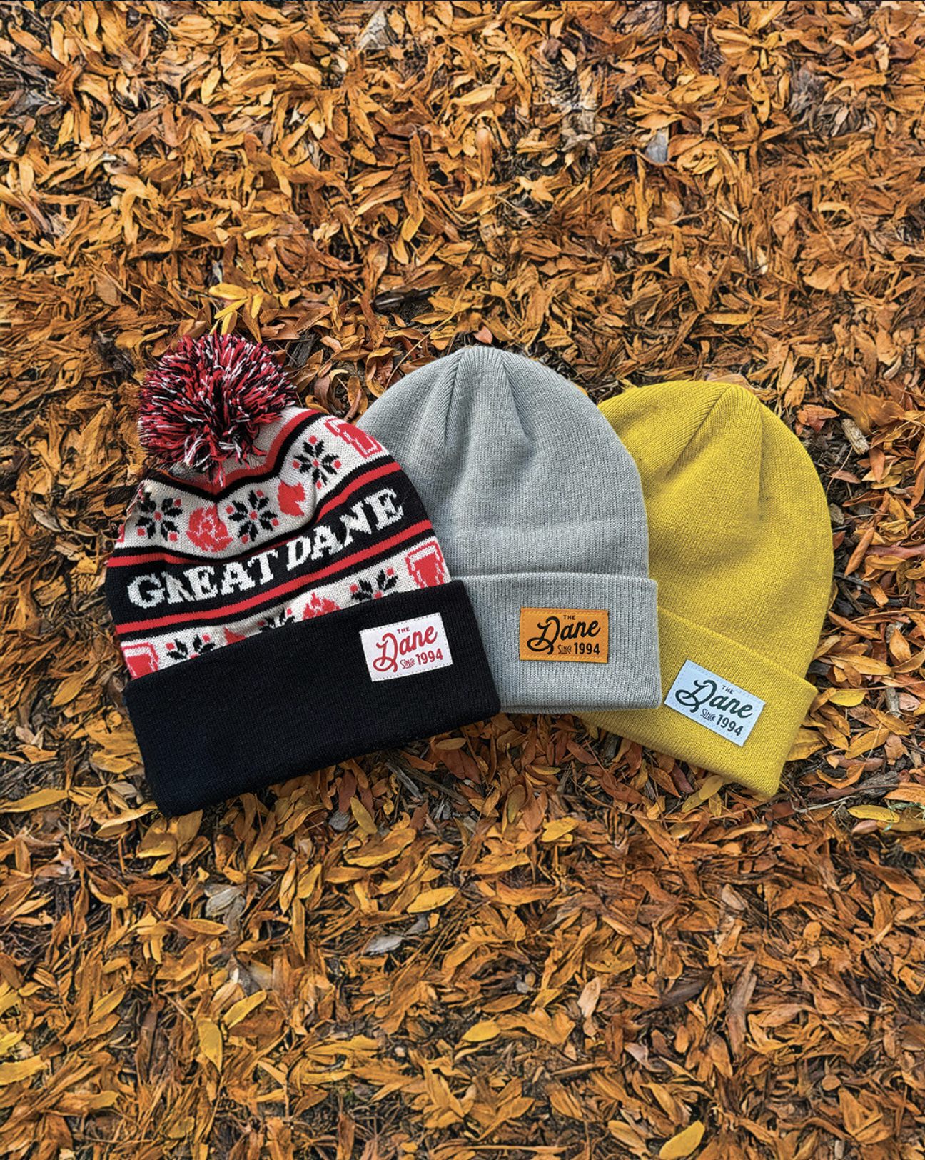 Screenshot 2026-02-03 at 10.13.44 AM.png