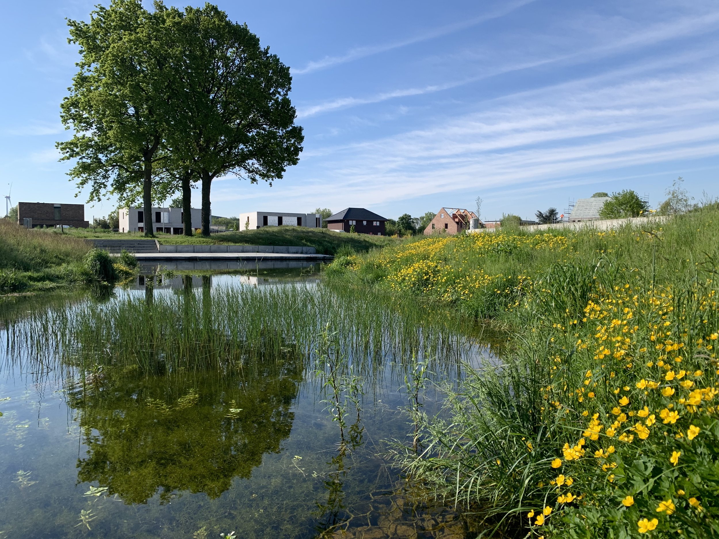 Evergem – Droogte – Vijver