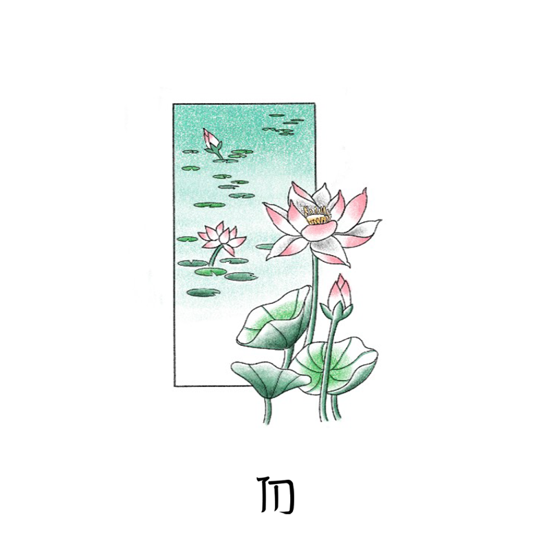 Vietnam - Lotus Pond