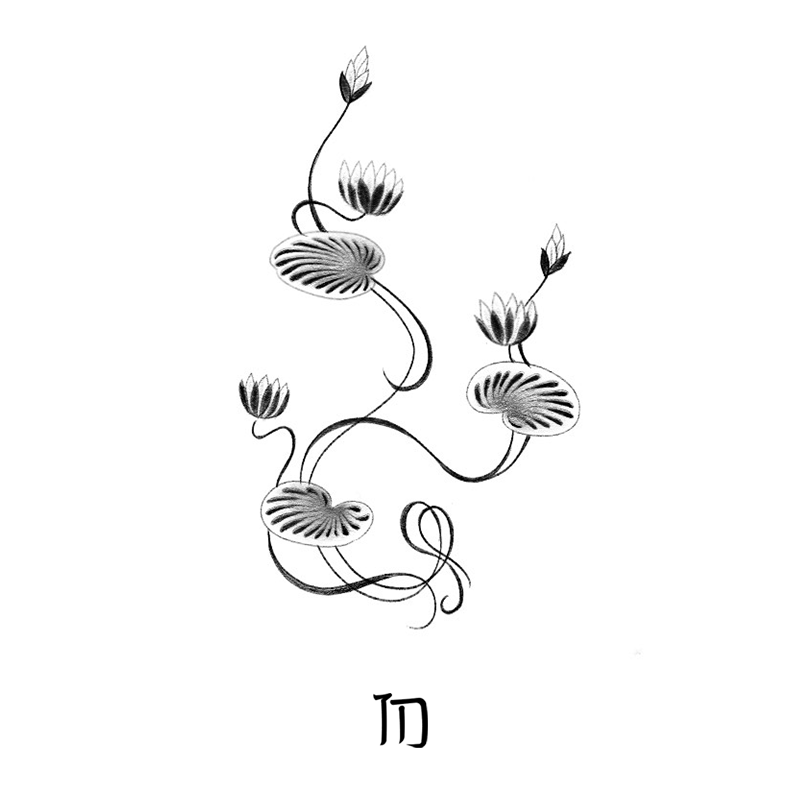 Len_LotusStems.png