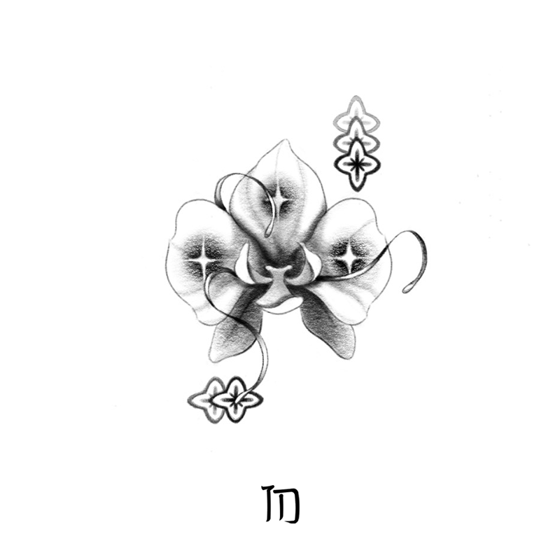 Len_Orchid.png