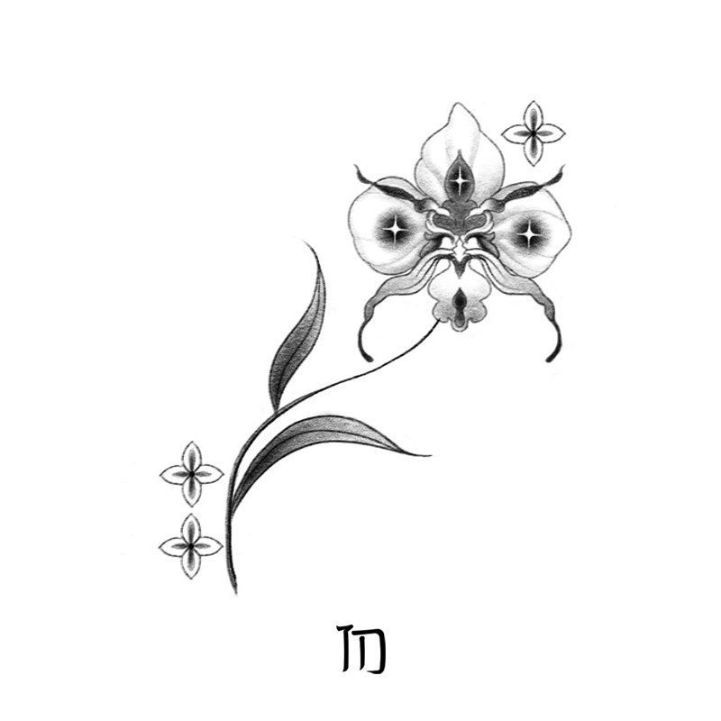 Len_Orchid2.png