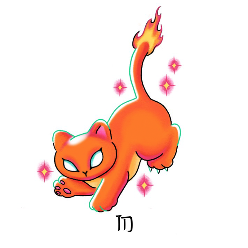 Pokemon Charmander Sparkles Cat