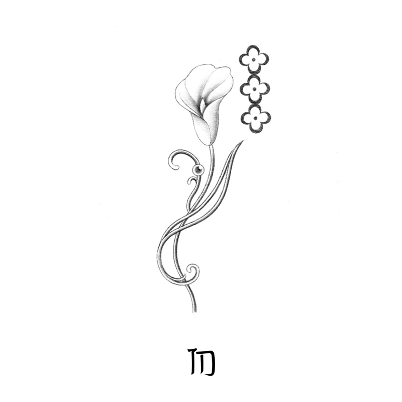 Silk and Shadow - Calla Lily