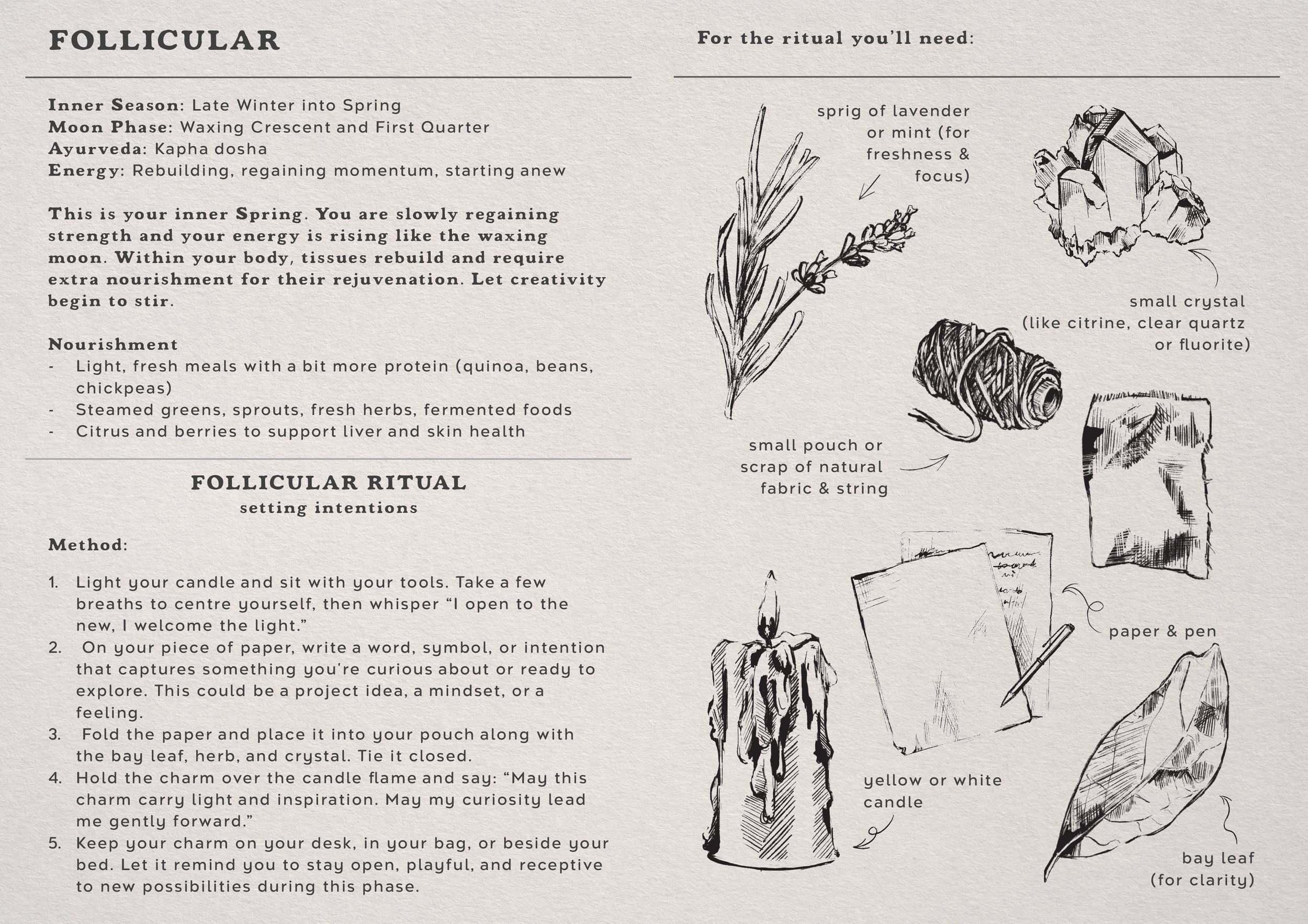 FOLLICULAR PAGE.png