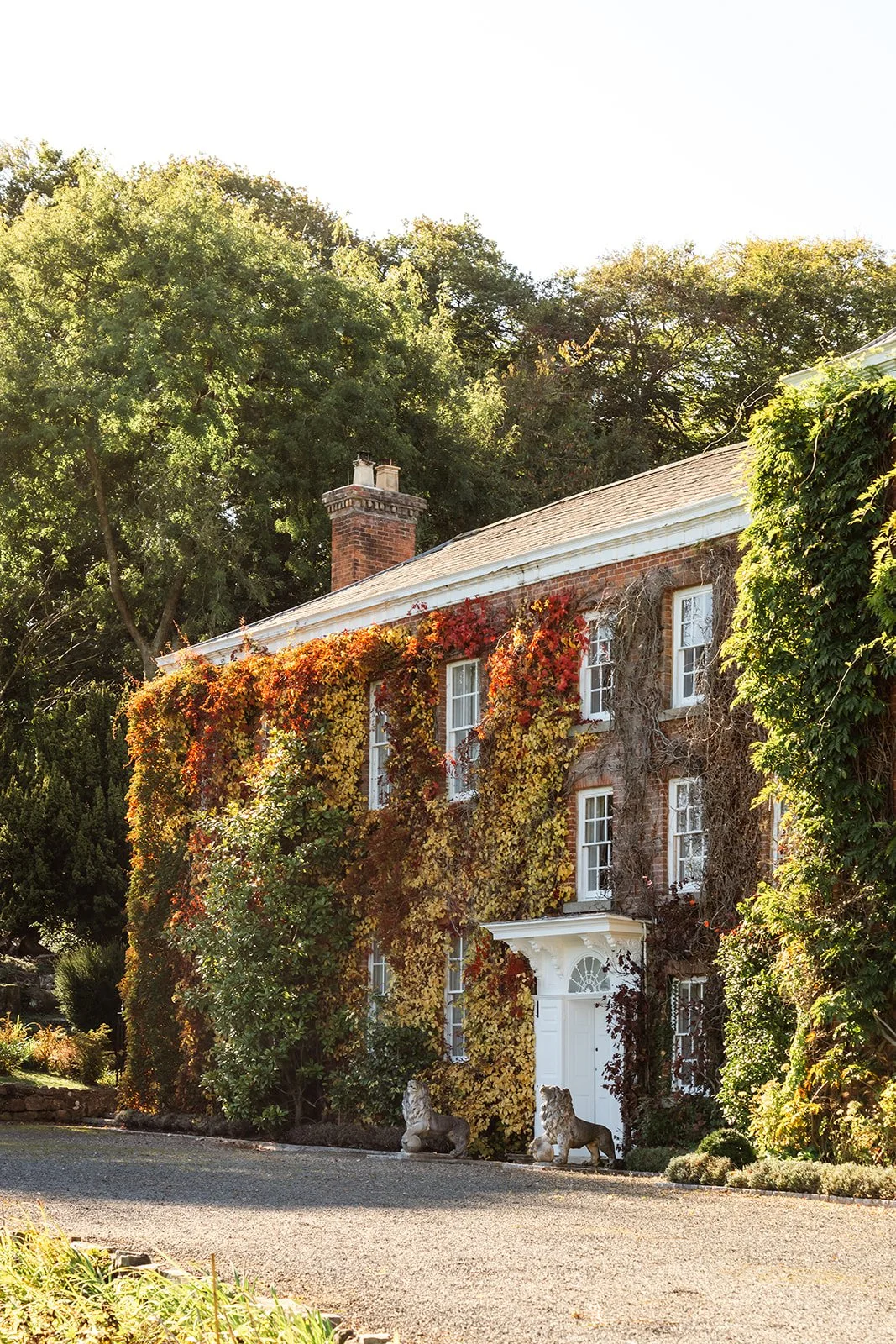 A large brick estate house covered in multicolored autumn ivy, with a white door, set in a lush yard with statues of lions and large trees in the background.
