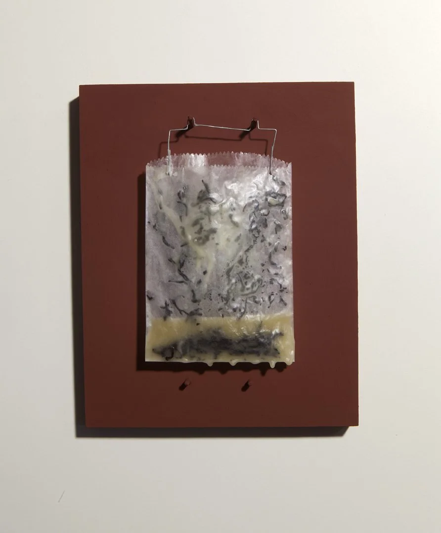 Project: China Now (Camellia sinensis, The Red List), 2025.
Title: Untitled (China tea, Wax), Series 01. edition x 7, 2025.
Size: 25.4 x 20.3 x 3 cm.
Material: China tea, Wax, Glassine film
negative bag, Wire, Wood panel, Red-Oxide paint.