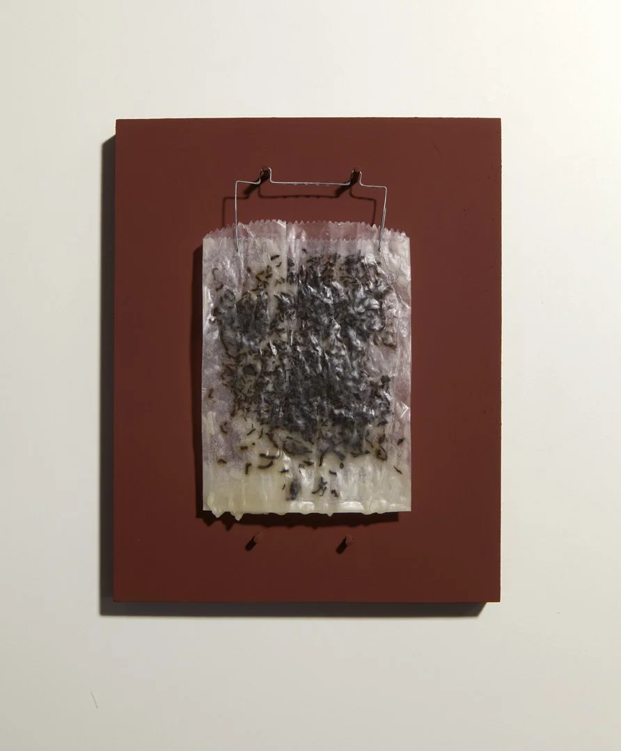 Project: China Now (Camellia sinensis, The Red List), 2025.
Title: Untitled (China tea, Wax), Series 01. edition x 7, 2025.
Size: 25.4 x 20.3 x 3 cm.
Material: China tea, Wax, Glassine film
negative bag, Wire, Wood panel, Red-Oxide paint.