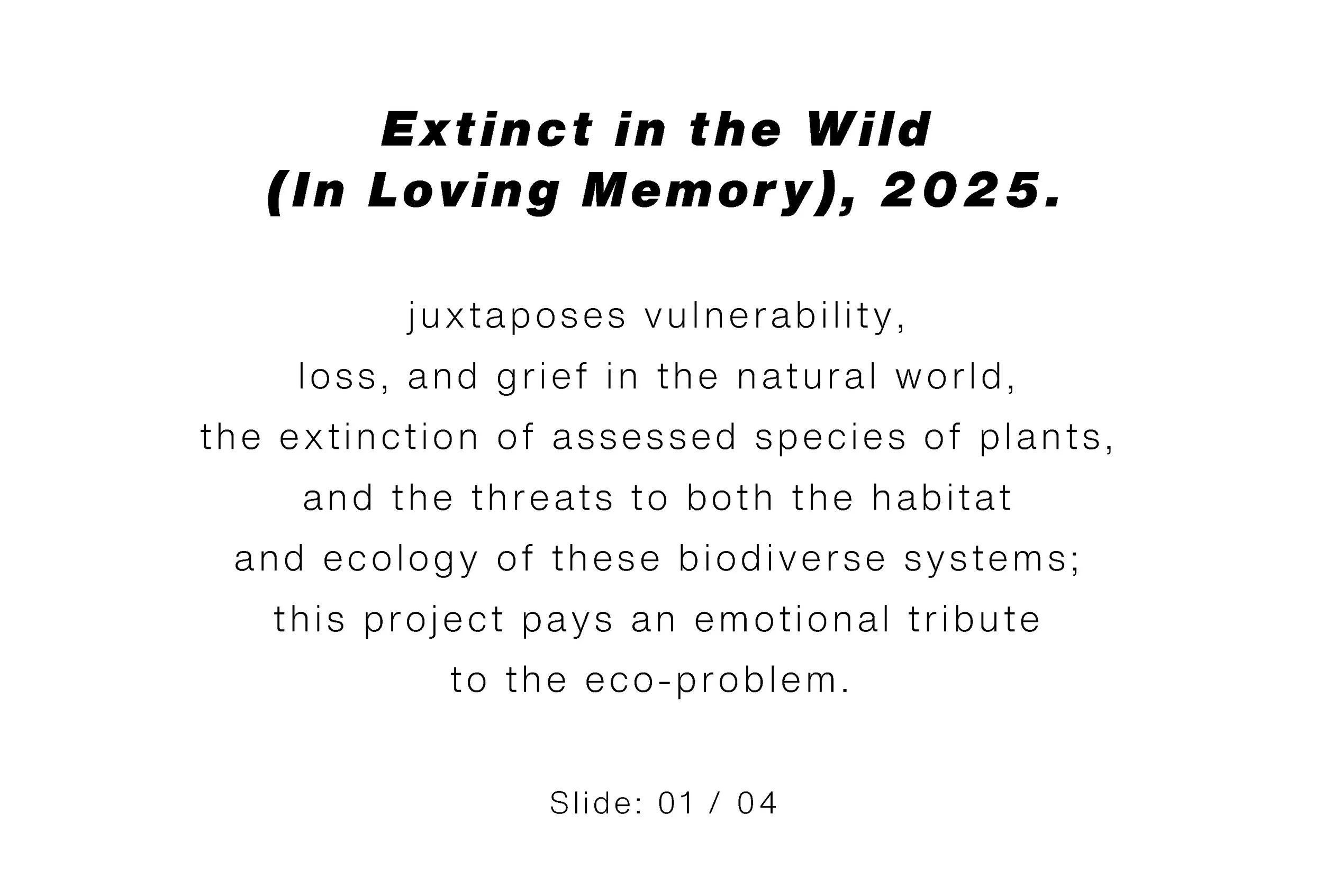 Extinct in the Wild (In Loving Memory), 2025._text slide.jpg