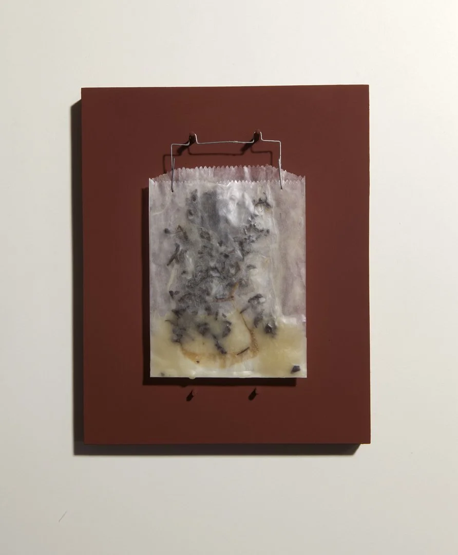 Project: China Now (Camellia sinensis, The Red List), 2025.
Title: Untitled (China tea, Wax), Series 01. edition x 7, 2025.
Size: 25.4 x 20.3 x 3 cm.
Material: China tea, Wax, Glassine film
negative bag, Wire, Wood panel, Red-Oxide paint.
