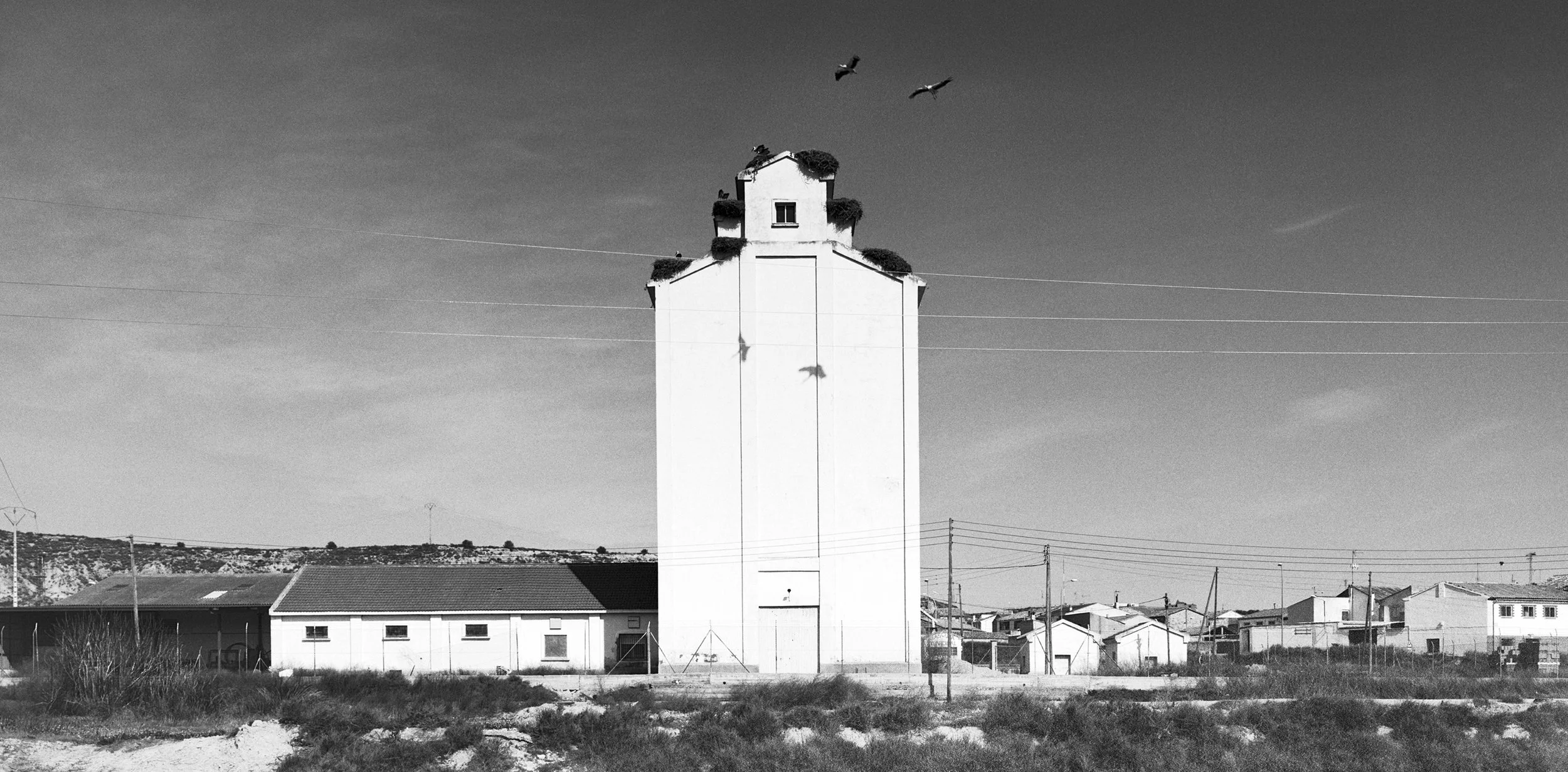 ‘testimonio’ : : Aragón - Lanaja, grain lift.