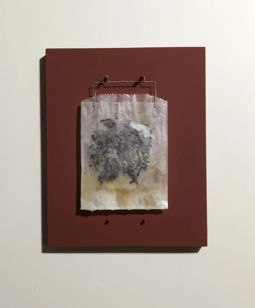 Project: China Now (Camellia sinensis, The Red List), 2025.
Title: Untitled (China tea, Wax), Series 01. edition x 7, 2025.
Size: 25.4 x 20.3 x 3 cm.
Material: China tea, Wax, Glassine film
negative bag, Wire, Wood panel, Red-Oxide paint.