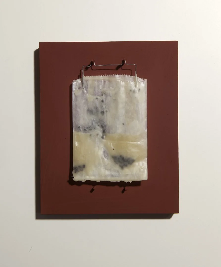 Project: China Now (Camellia sinensis, The Red List), 2025.
Title: Untitled (China tea, Wax), Series 01. edition x 7, 2025.
Size: 25.4 x 20.3 x 3 cm.
Material: China tea, Wax, Glassine film
negative bag, Wire, Wood panel, Red-Oxide paint.