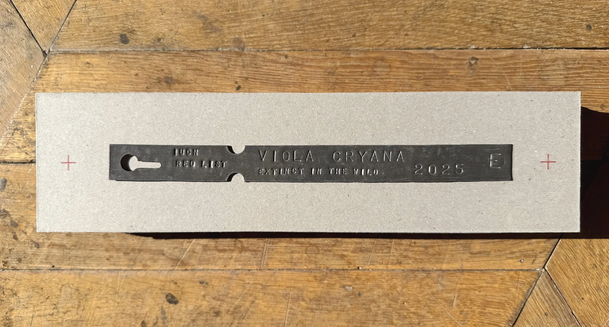 Size: nine parts, each 39 x 10 x 5 cm.
Weight: 3 kg. each.
Material: Lead, Archival greyboard, Digital Giclee print, Concrete.