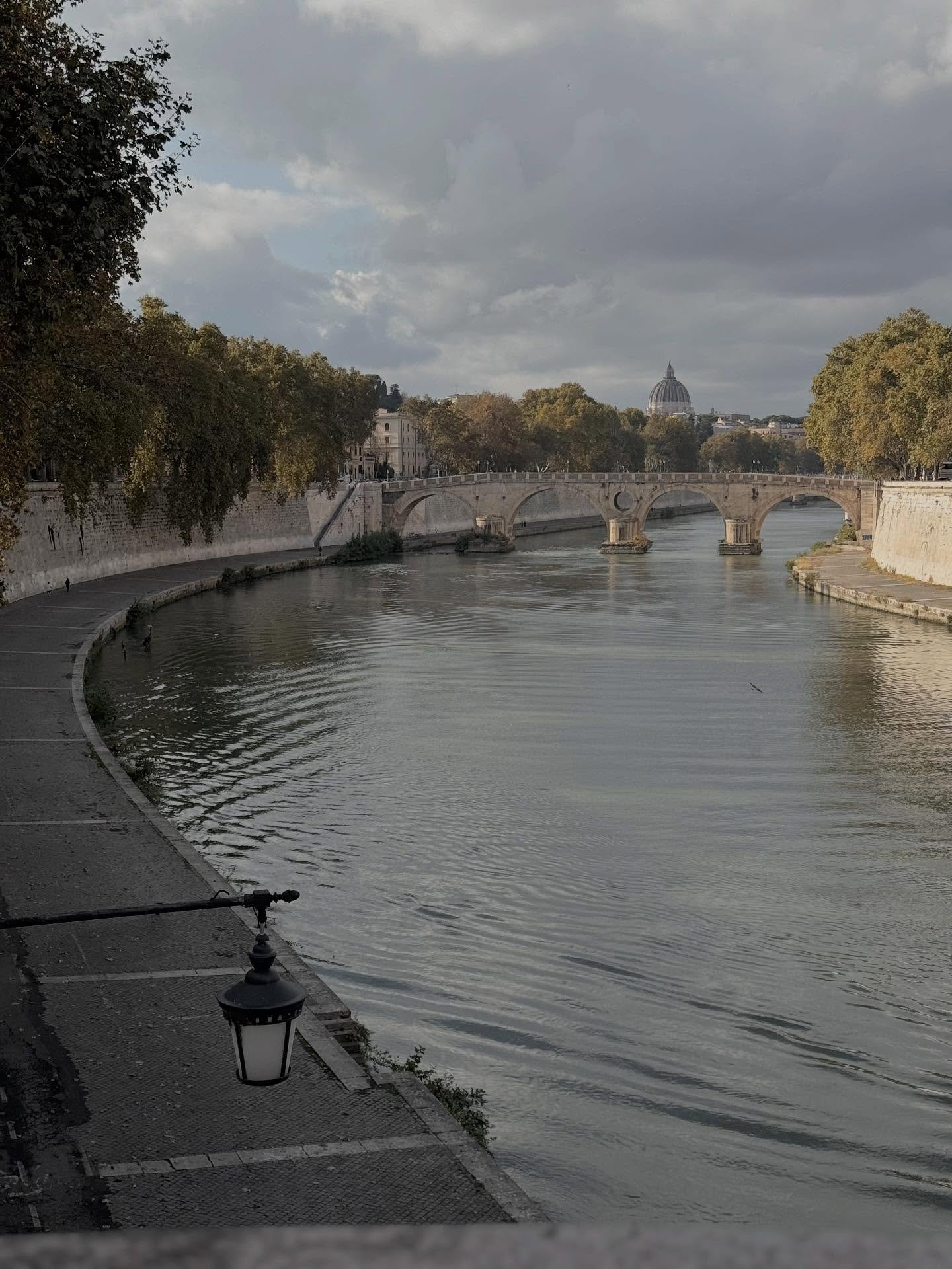 Officially back at my desk this week after the most wonderful half term break soaking up the culture of Rome. Already planning my return visit. 🤍