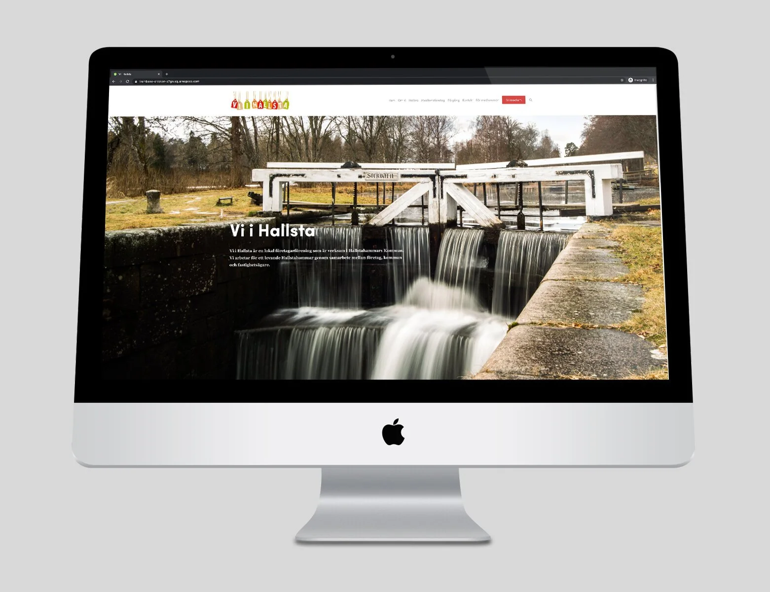 ViH+iMac+1.jpeg