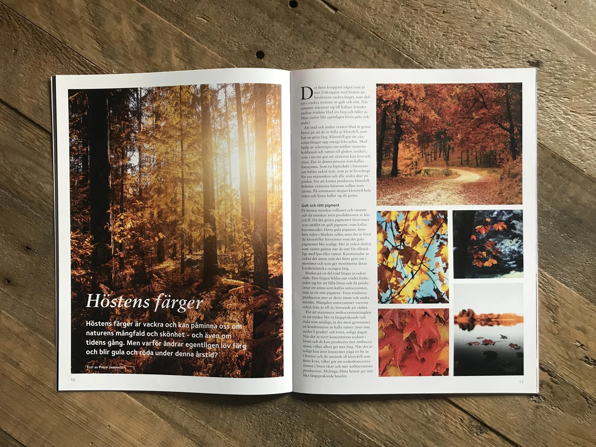 Layout församlingstidning