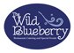 Wild-Blueberry-small.jpg