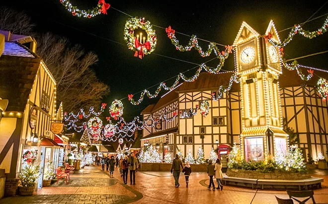 Youth: Busch Gardens Christmas Town