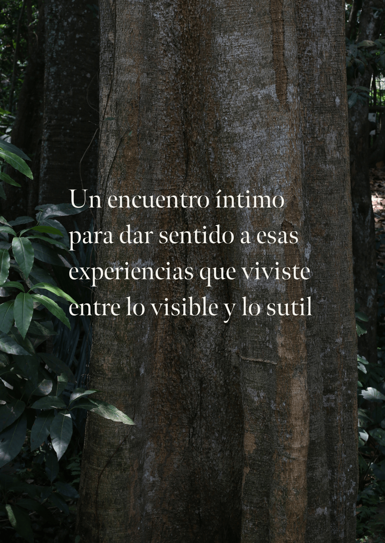 taller eros python.png