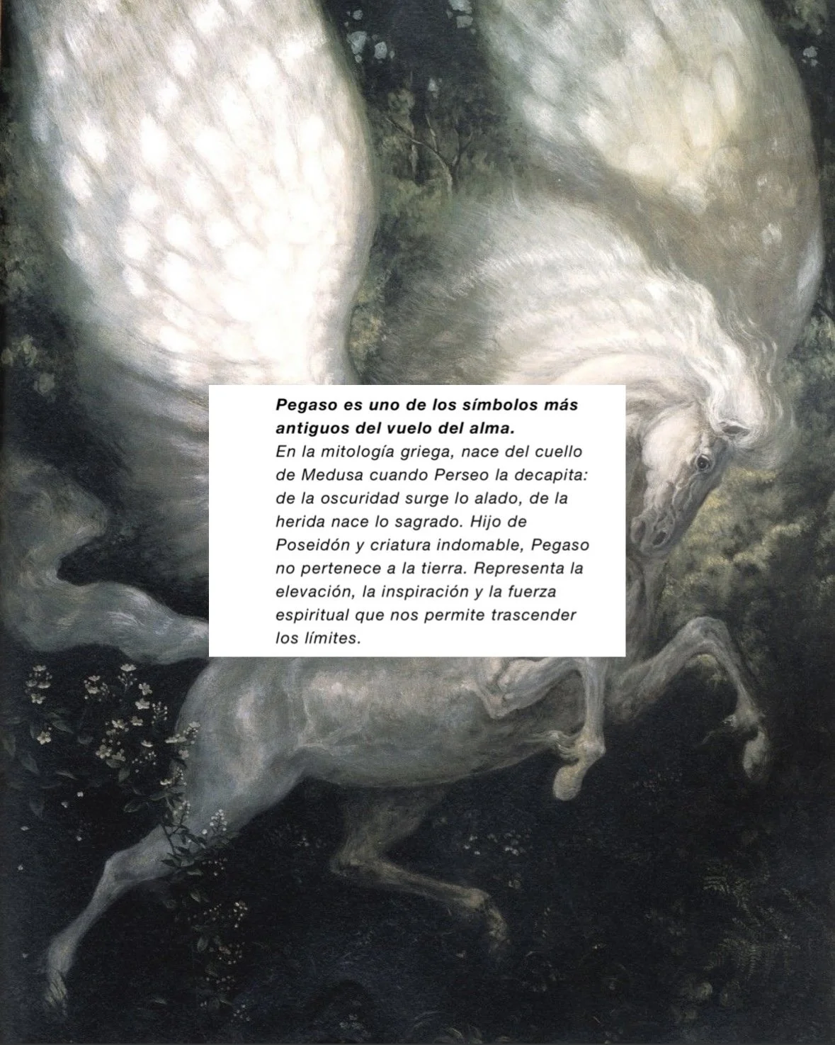 pegaso mito eros python.jpg