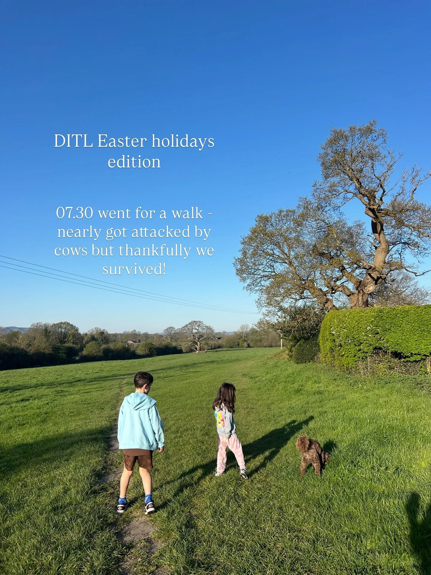 Not work related, but the loveliest day in the sunshine. Isn&rsquo;t everything just so much better when the sun is shining?! Hope you had a good one too ☀️
#ditl #lifeasacaterer #timestamp #sussex #easterholidays