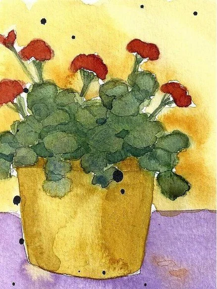 Geraniums