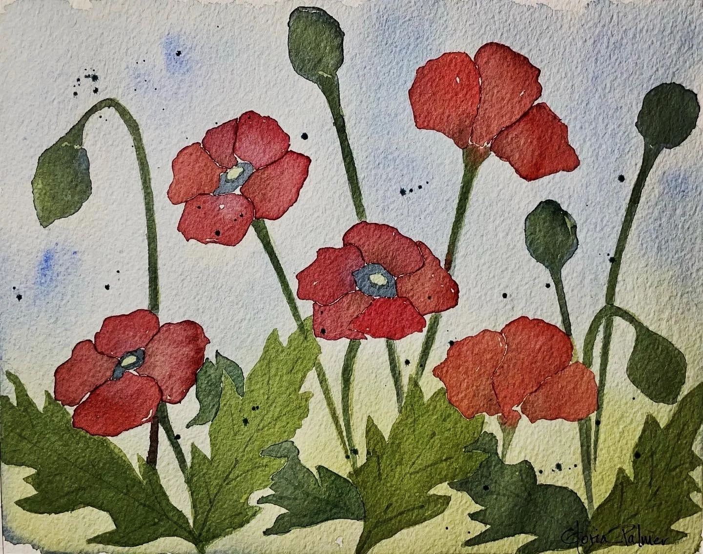 Poppies