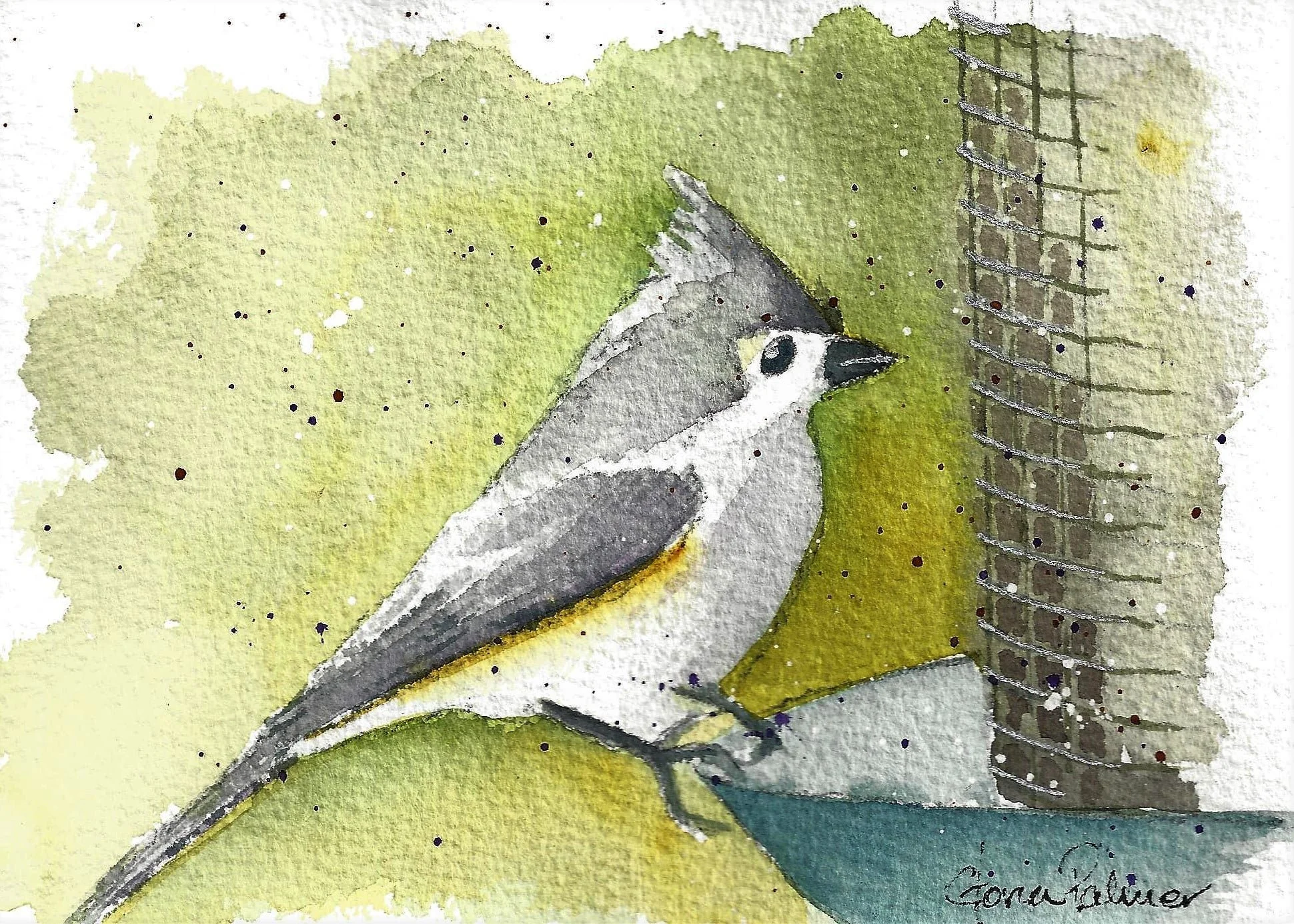Tufted Titmouse