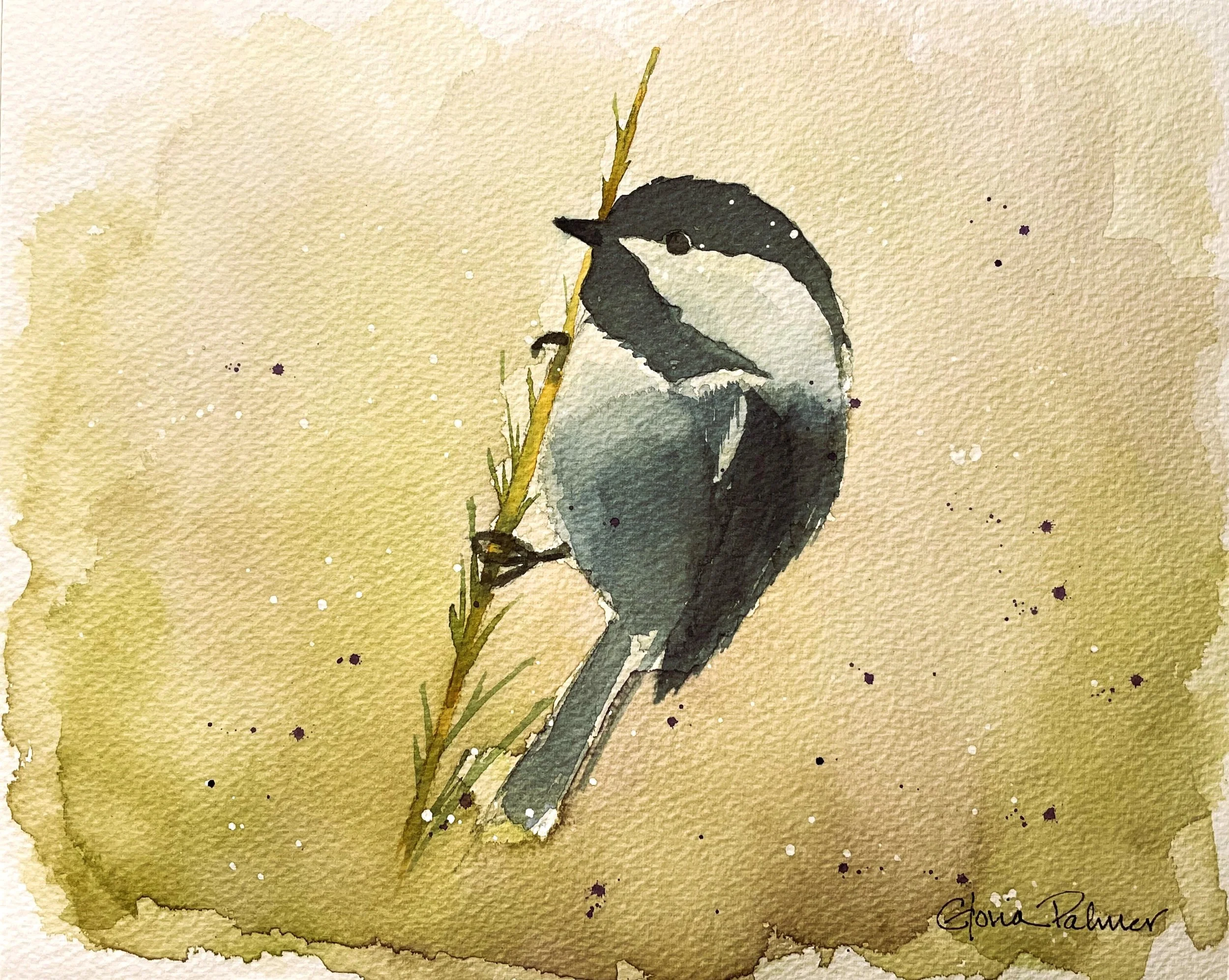 Chickadee