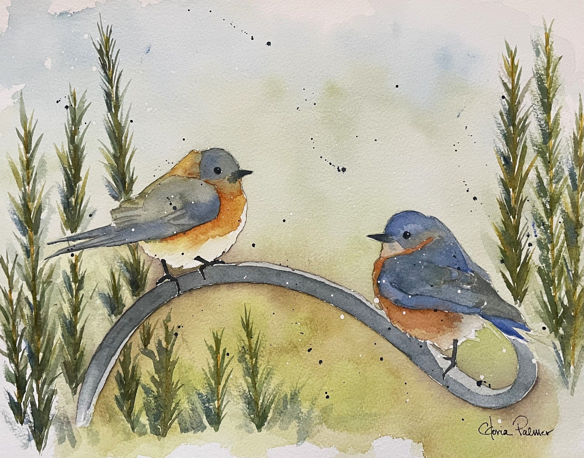 Bluebirds